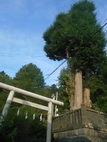 御霊神社の鳥居