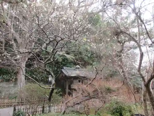 安國論寺（安国論寺）の自然