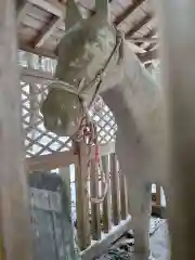 玉崎駒形神社の像