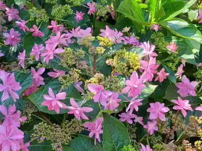 稲荷神社の自然