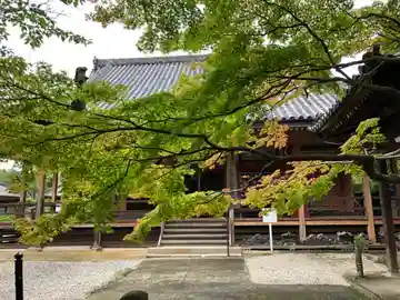 松尾寺の本殿・本堂
