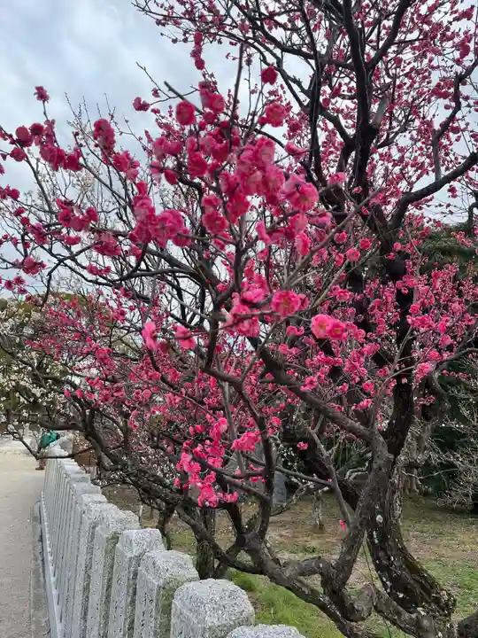 曽根天満宮(兵庫県)
