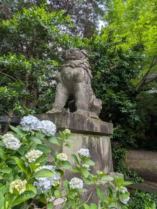 赤坂氷川神社(東京都)