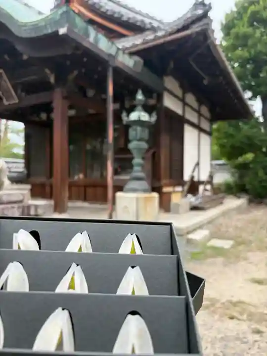両足院(京都府)