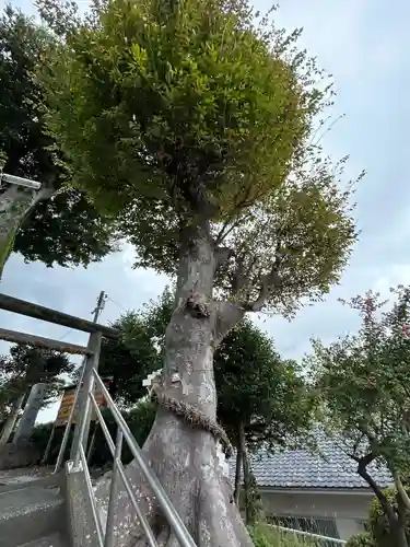 護所神社(静岡県)