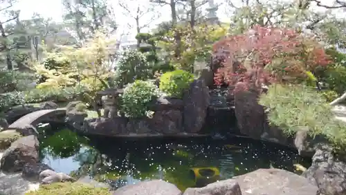 大鏡寺（大圓鏡寺）の庭園