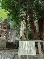 天鷹神社(岐阜県)