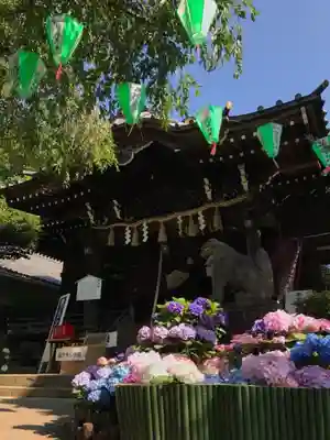 白山神社の本殿・本堂