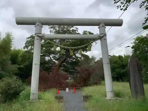 金村別雷神社の鳥居