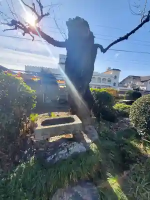 御嶽神社(助戸)(栃木県)