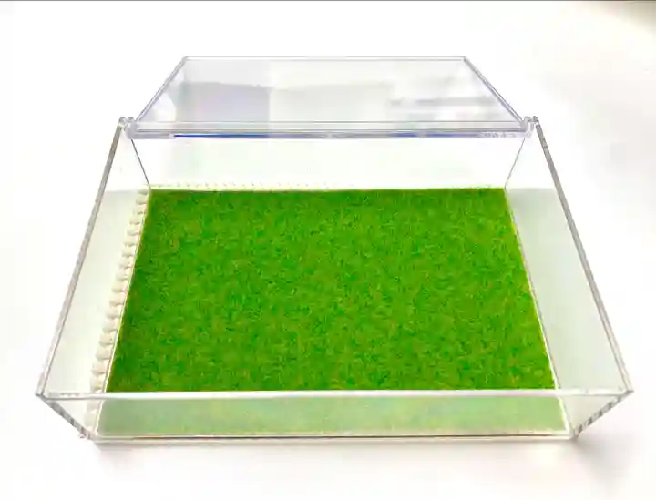 榴岡天満宮(宮城県)