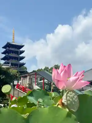 中山寺(兵庫県)