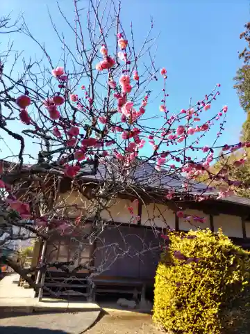 長泉院の本殿・本堂