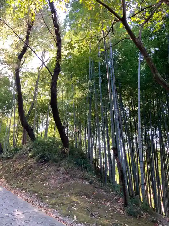 龍寳寺(龍宝寺)(神奈川県)