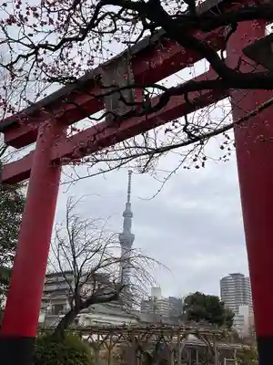 亀戸天神社の鳥居