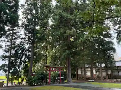 早池峯神社(岩手県)