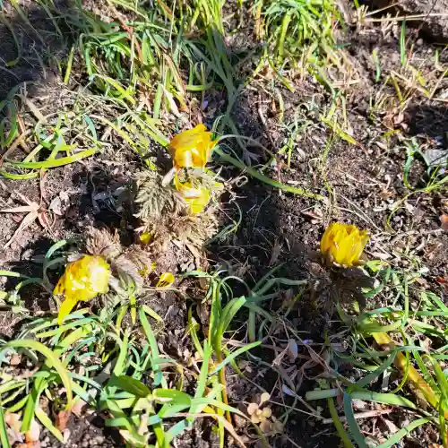 円覚寺の{uncategorized: "未分類", other: "その他", undefined: "問題あり", building: "その他建物", grave: "お墓", sacred_gate: "鳥居", guardian: "狛犬", statue: "像", buddha: "仏像", history: "歴史", nature: "自然", garden: "庭園", animal: "動物", pagoda: "塔", temizu: "手水舎", mountain_gate: "山門・神門", sanctuary: "本殿・本堂", subordinate: "末社・摂社", art: "芸術", scenery: "景色", jizo: "地蔵", ema: "絵馬", goshuin: "御朱印", omikuji: "おみくじ", items: "授与品その他", amulet: "お守り", goshuincho: "御朱印帳", eats: "食事", festival: "お祭り", votive_dance: "神楽", shichigosan: "七五三参", wedding: "結婚式", experience: "体験その他", initially: "初詣", around: "周辺", anti_infection: "感染症対策"}