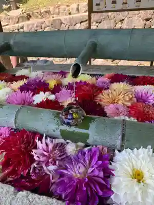 岡寺（龍蓋寺）の手水舎