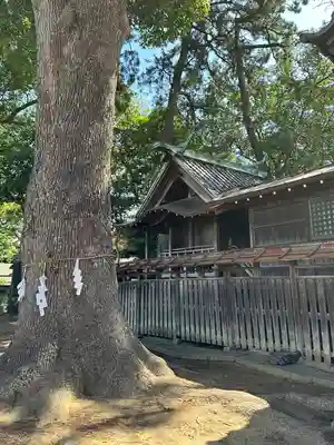 神明社(千葉県)
