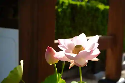 法源寺(山梨県)