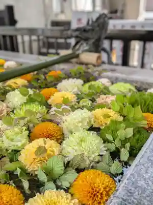 高円寺氷川神社(東京都)
