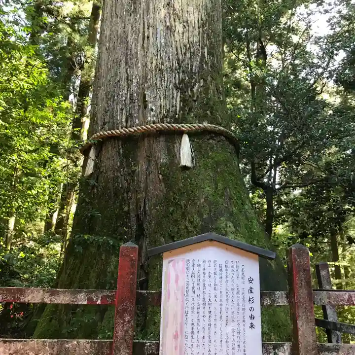箱根神社のその他建物