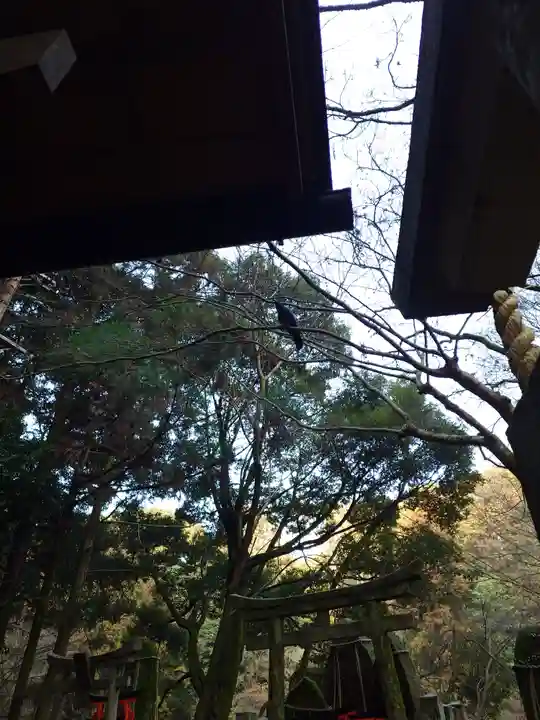 伏見稲荷大社 御膳谷奉拝所(京都府)