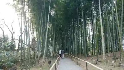 高台寺（高台寿聖禅寺・高臺寺）の周辺