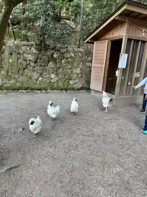 石上神宮(奈良県)