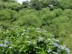 龍尾神社(静岡県)