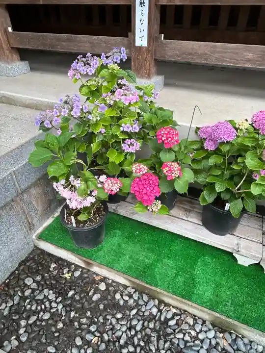 能護寺(埼玉県)