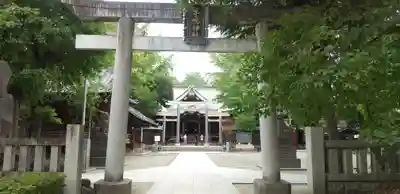 牛嶋神社の鳥居