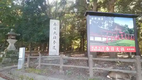 春日大社のその他建物