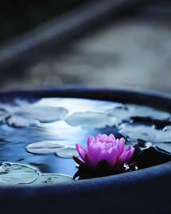 浄土寺(兵庫県)