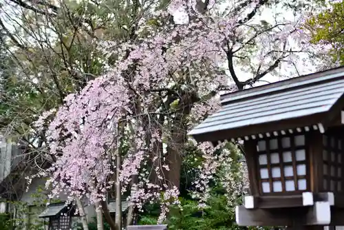 伊勢山皇大神宮の自然