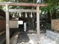 正松神社の鳥居