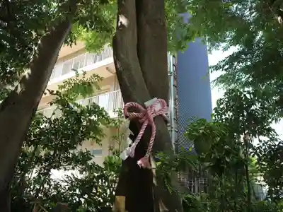 伊和志津神社のその他建物