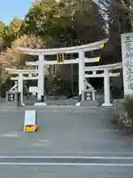 三峯神社(埼玉県)
