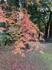 東漸寺の自然