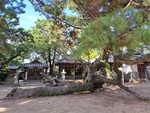 高砂神社(兵庫県)