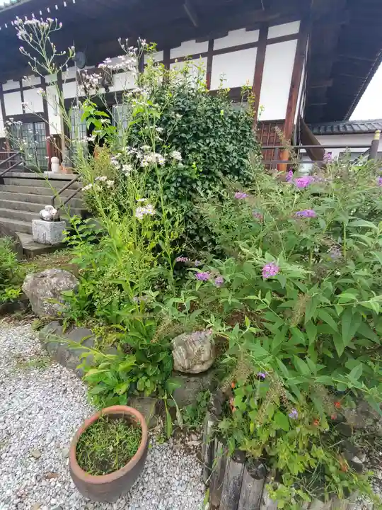 多宝寺(埼玉県)