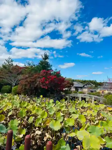 天龍寺(京都府)