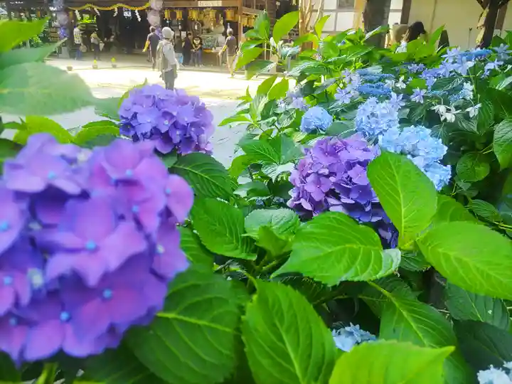 大宝八幡宮(茨城県)