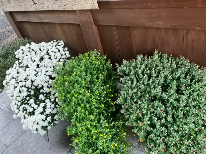 綾延神社の自然