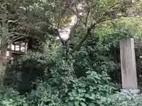 尾津神社の本殿・本堂