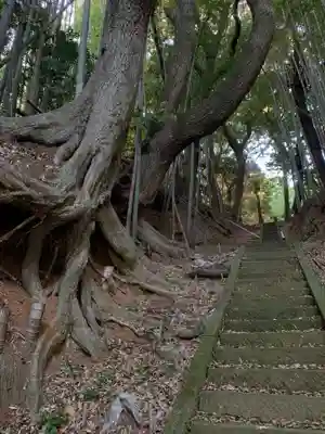 諏訪神社(千葉県)