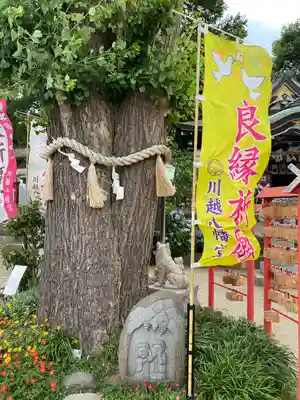 川越八幡宮(埼玉県)