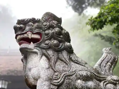 道光神社の狛犬