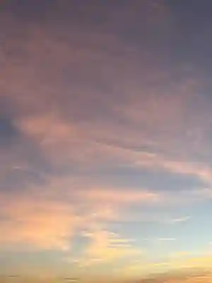 雀神社(茨城県)