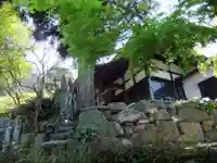 西楽寺(山口県)